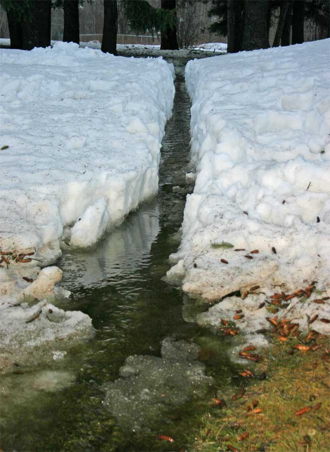 tonyrogers-spring-snowmelt-runoff-2005